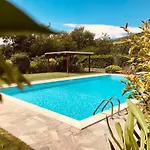 Borgo Di Sotto, Il Mulino * Montanare